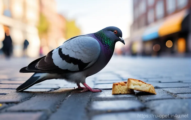 비둘기 전염병 예방 - A solitary urban pigeon, appearing weak and vulnerable, is hunched on a dirty, cracked sidewalk next...