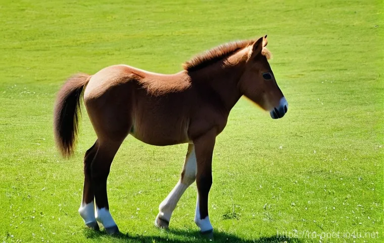 말 새끼 조련법 - **Prompt:** A heartwarming scene depicting a young, curious foal, no more than a few weeks old, gent...