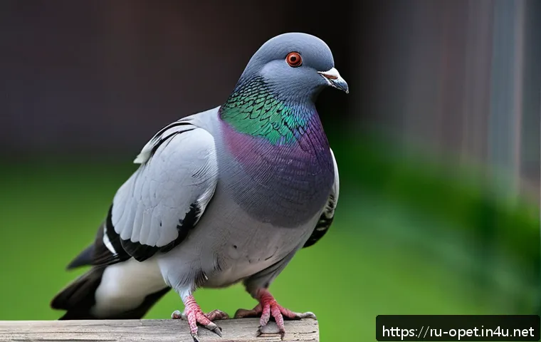 비둘기 품종별 특징 - A detailed portrait of a rare Kaufman pigeon perched gracefully on a wooden branch inside a cozy avi...